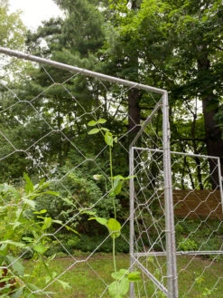 Chicken Wire Pea Trellis 20 Chicken Wire Pea Trellis -Garden Tool Store 8612718 7302