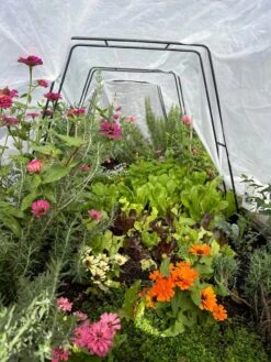 Zenith Garden Hoops, Set Of 4 -Garden Tool Store 8612816 01TEST