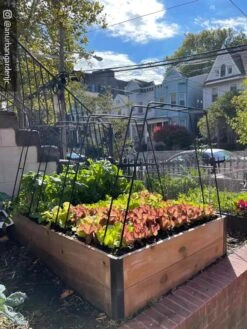 Zenith Garden Hoops, Set Of 4 -Garden Tool Store 8612816 02CUST