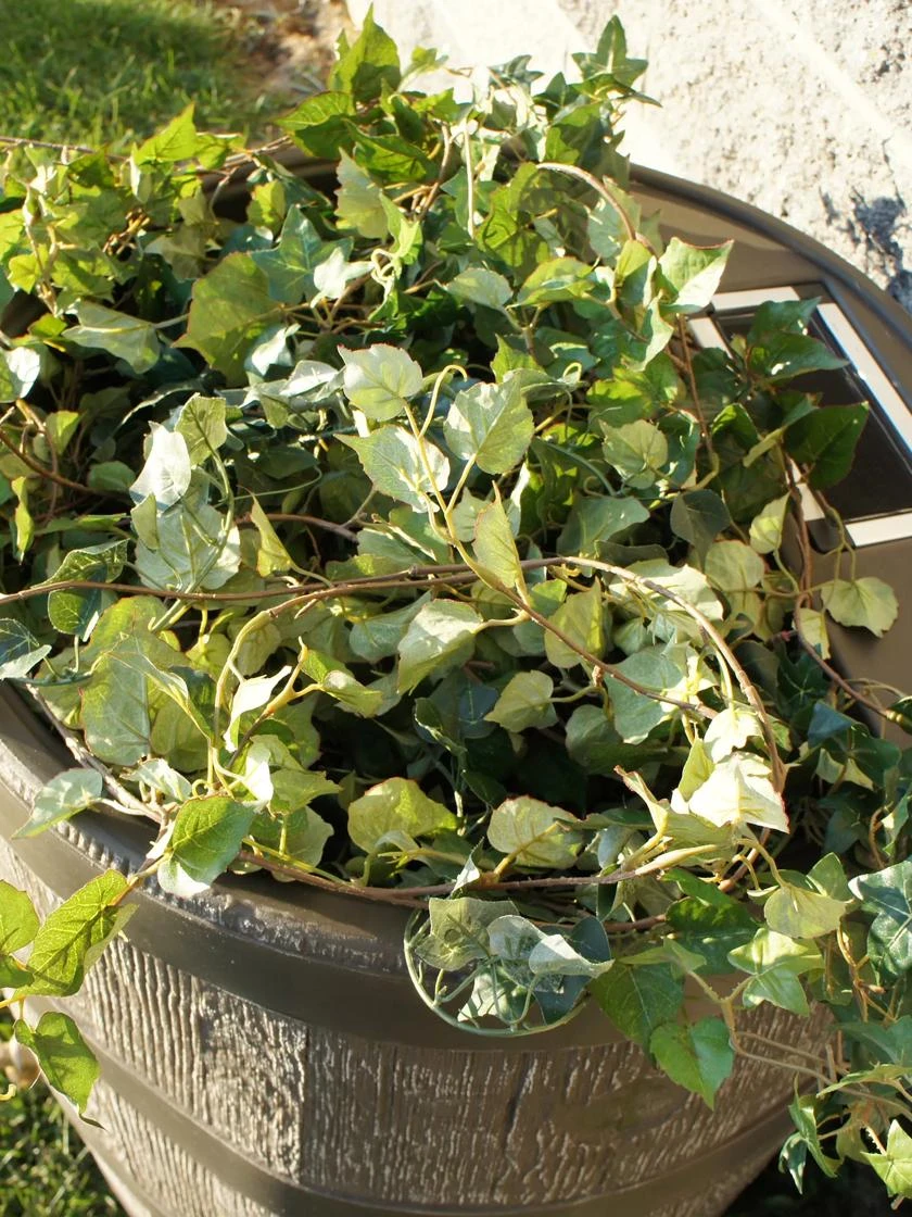 Round Rain Barrel With Planter, 35 Gallons 6 Round Rain Barrel With Planter, 35 Gallons - Image 4