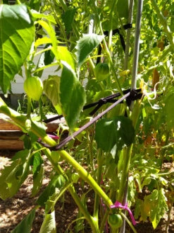 Farmyarn® Multipurpose Garden Tie, 2 Pack 16 Farmyarn® Multipurpose Garden Tie, 2 Pack -Garden Tool Store 8612948 02v