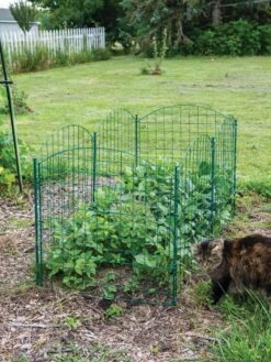 6 Panel Critter Fence With Gate -Garden Tool Store 8612967 2570 tif