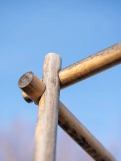 Tomato Six Pack Support -Garden Tool Store 8613143 0385