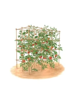 Tomato Six Pack Support -Garden Tool Store 8613143 art flat