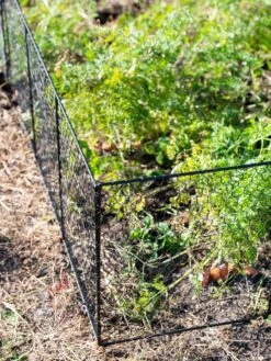 Chicken Wire Critter Fence, 16" High 19 Chicken Wire Critter Fence, 16" High -Garden Tool Store 8613249 0309