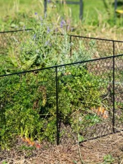 Chicken Wire Critter Fence, 16" High 16 Chicken Wire Critter Fence, 16" High -Garden Tool Store 8613249 0352