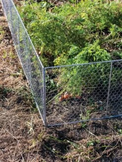 Chicken Wire Critter Fence, 16" High 17 Chicken Wire Critter Fence, 16" High -Garden Tool Store 8613249 0358