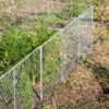 Chicken Wire Critter Fence, 16" High -Garden Tool Store 8613249 0368 chicken wire critter fence 16 inches high