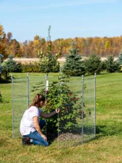 Tall Chicken Wire Critter Fence With Gate -Garden Tool Store 8613260 0044