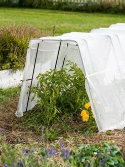 Zenith Garden Hoops, Set Of 4 -Garden Tool Store 8613313 0133