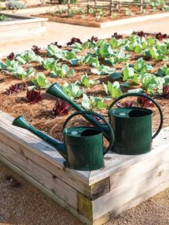 Long Reach Watering Can, Large -Garden Tool Store 8613346 0148 1