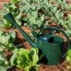 Long Reach Watering Can, Large -Garden Tool Store 8613346 0149
