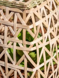 Bamboo Cloche, Set Of 2 19 Bamboo Cloche, Set Of 2 -Garden Tool Store 8613351 0153