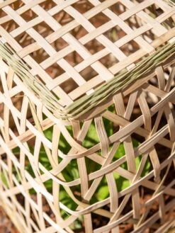 Bamboo Cloche, Set Of 2 18 Bamboo Cloche, Set Of 2 -Garden Tool Store 8613351 0154