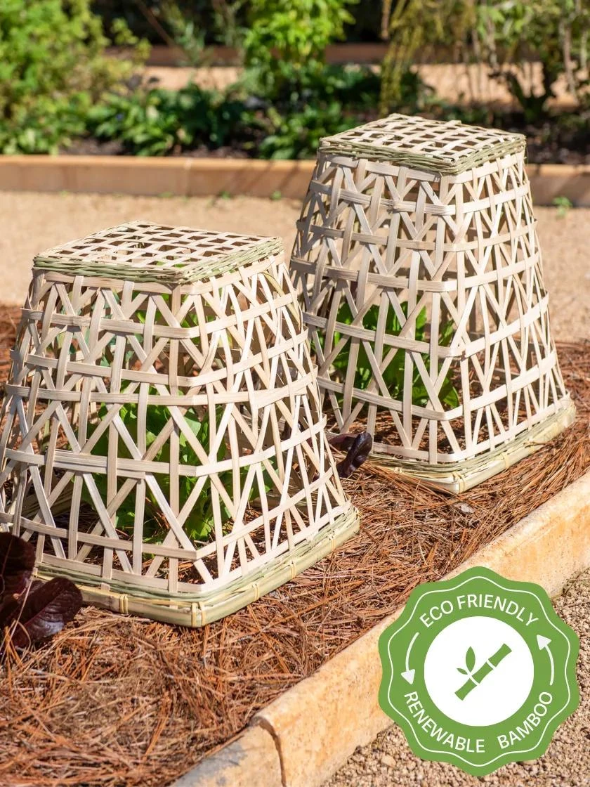 Bamboo Cloche, Set Of 2 3 Bamboo Cloche, Set Of 2
