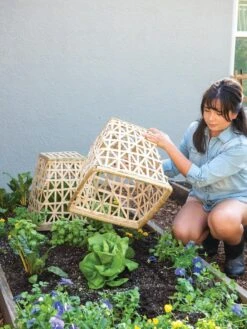 Bamboo Cloche, Set Of 2 15 Bamboo Cloche, Set Of 2 -Garden Tool Store 8613351 6862