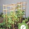 Bamboo Tomato Cages, Set Of 3 -Garden Tool Store 8613426 7