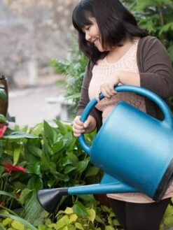 French Blue Watering Can -Garden Tool Store EmilyHoangSquare 0151 tif