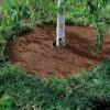 Coco Coir Tree Rings, Set Of 2 2 Coco Coir Tree Rings, Set Of 2 -Garden Tool Store GS33501 04 001E tif