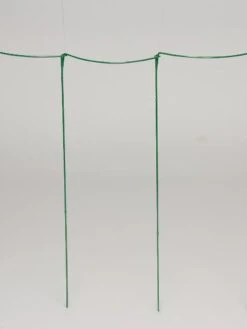 Curved Linking Stakes -Garden Tool Store GS35241 04S tif