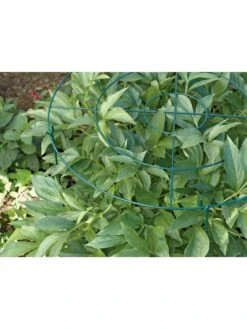 Grow Through Supports, Set Of 3 -Garden Tool Store GS40172 01 1