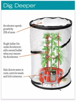 Tomato TLC Kits, Set Of 3 -Garden Tool Store hiw 8594214 jpg